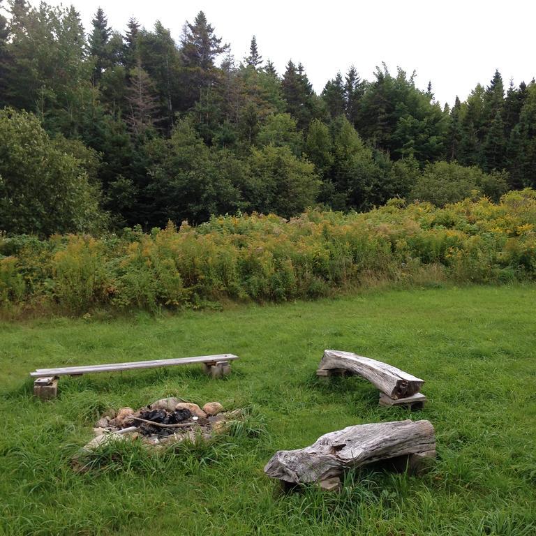 Гостьовий будинок Breton Cove Farmhouse Indian Brook Екстер'єр фото