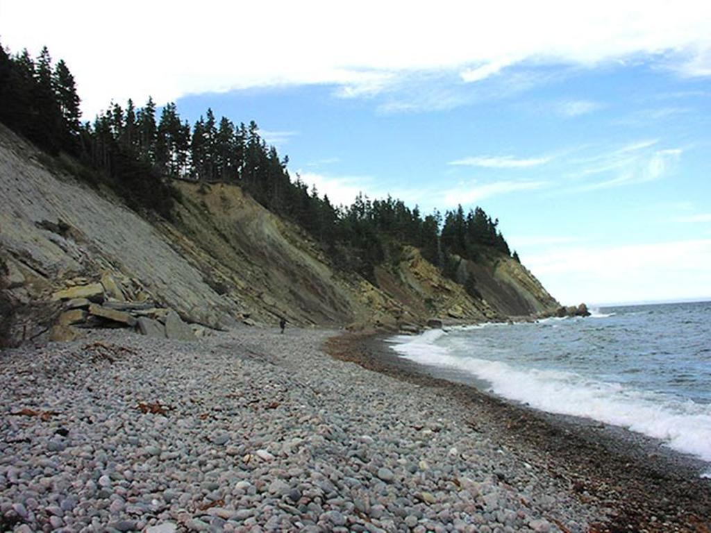Гостьовий будинок Breton Cove Farmhouse Indian Brook Екстер'єр фото