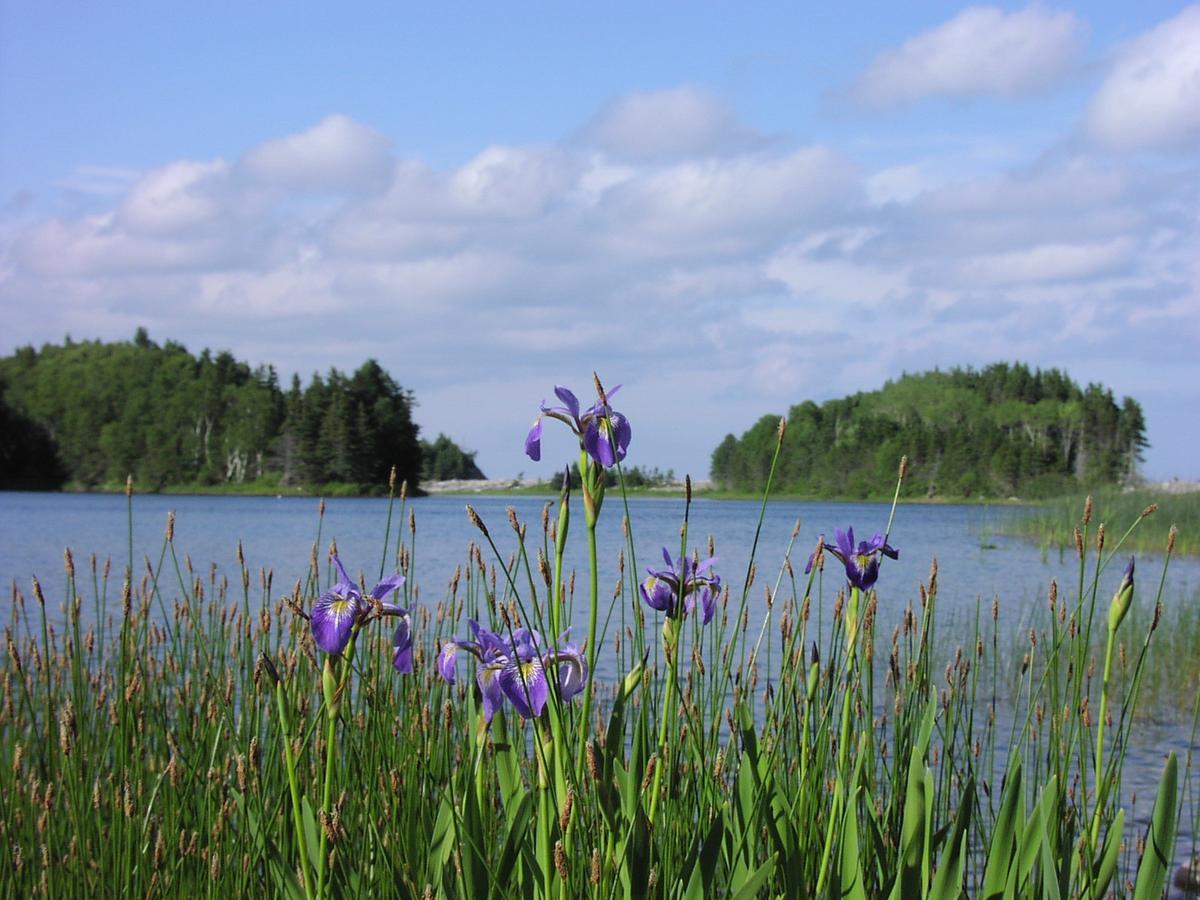 Гостьовий будинок Breton Cove Farmhouse Indian Brook Екстер'єр фото