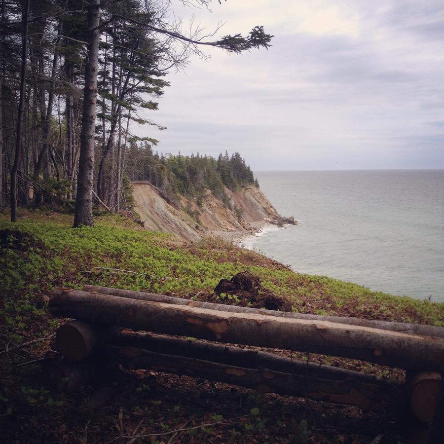Гостьовий будинок Breton Cove Farmhouse Indian Brook Екстер'єр фото